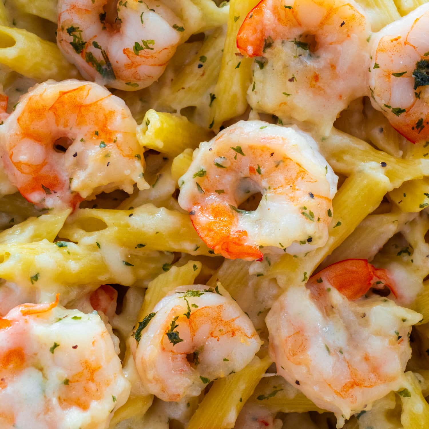 Easy One-Skillet Shrimp Pasta Bake: Your Family Dinner Solution